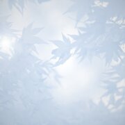 Overlijden-Mourning-leaves-of-grey-RS-©Dreamstime